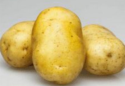 馬鈴薯(shu)