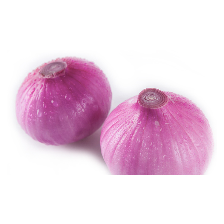 餐饮管理 为中国传统企业文化多元化发展出力