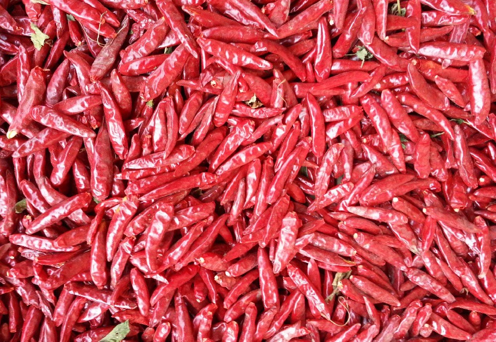 餐饮公司将把食品安全放在首位，以实践健康信使