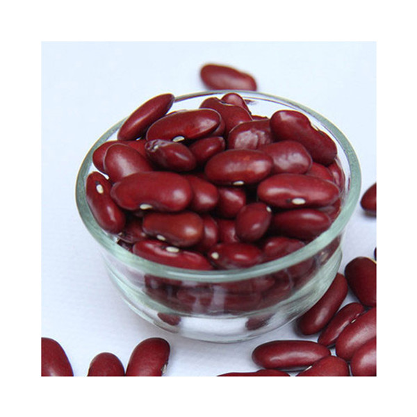 食堂提供专业、热情的服务