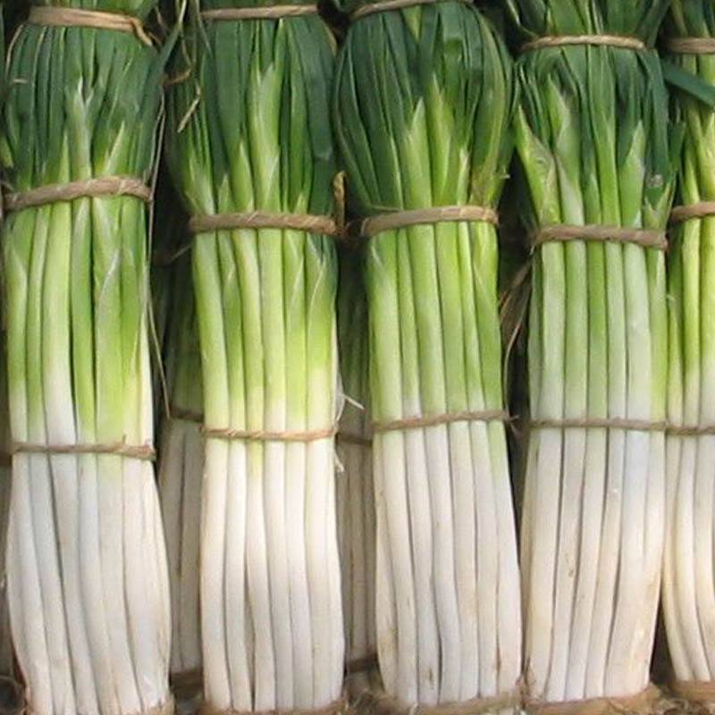 所有企业员工都愿意为学生食堂承包加班